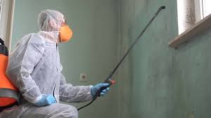 Trusted Watts Mills, SC Mold Removal & Remediation Experts